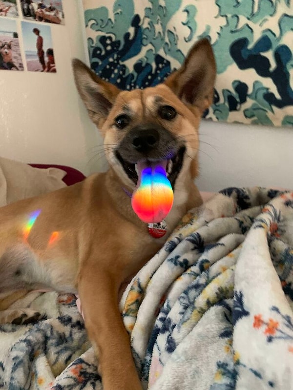 9. Лизнул кусочек радуги