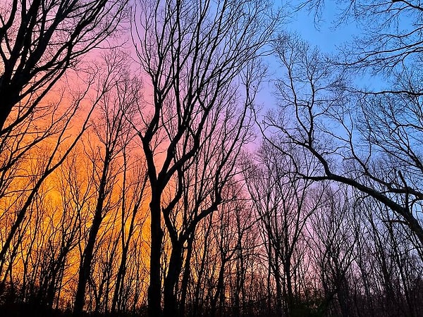 12. Небо выглядит как радужный градиент