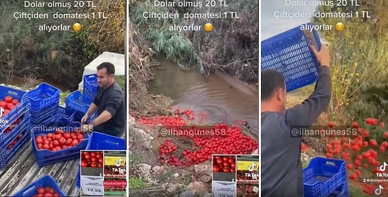 'Dolar Olmuş 20 TL, Domates 1 TL' Diyerek İsyan Eden Çiftçi Domateslerini Yere Döktü