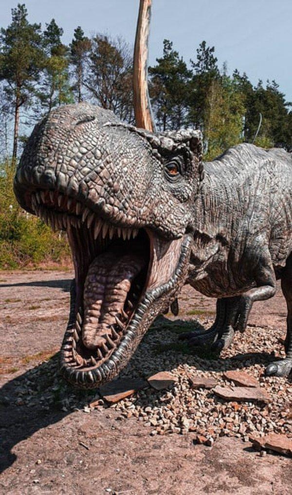 Eğer çok fazla dinozor konulu dizi veya film izlediyseniz, T. rex ve Apatosaurus'un aşırı büyümüş kertenkelelere veya timsahlara benzeyen hantal hayvanlar olarak tasvir edildiğini görürsünüz.