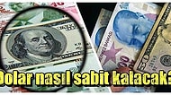 Dolardaki Oynaklık Sonrası Türkiye Sabit Kur Rejimine Dönebilir mi?