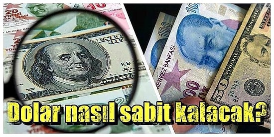 Dolardaki Oynaklık Sonrası Türkiye Sabit Kur Rejimine Dönebilir mi?