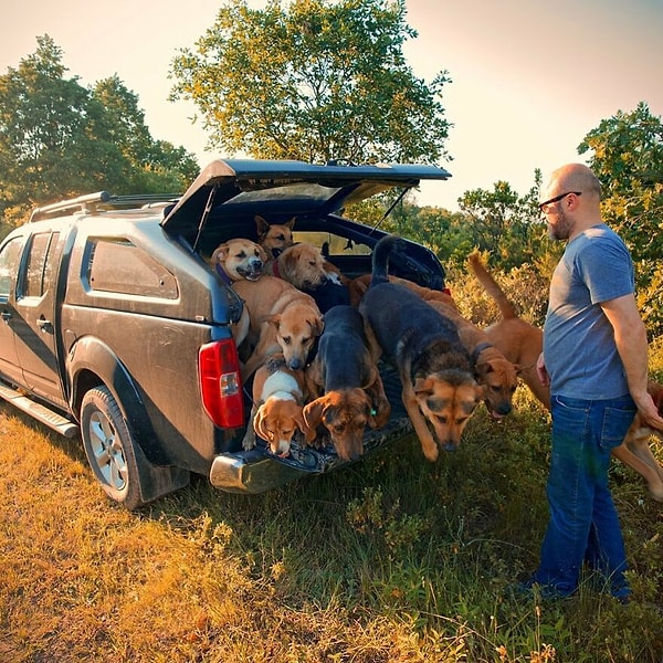 "Я родился таким. Это не то, что я решил или подумал. Это больше похоже на инстинкт, заложенный во мне. Я не могу перестать помогать бездомным животным".