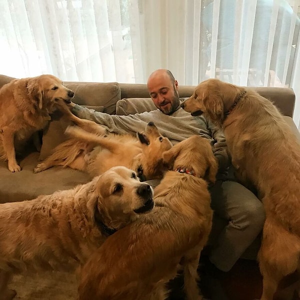 "Я занятой человек. Но в то время, когда я не работаю, я посвящаю свое время помощи этим бездомным животным".