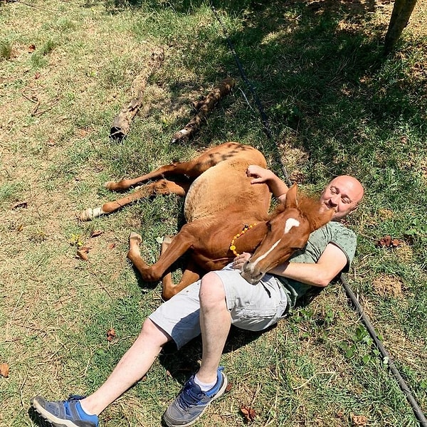 "У меня на ферме работают люди. Они работают полный рабочий день и заботятся о моих друзьях-животных и семье. Но я не получаю ни от кого добровольной помощи или пожертвований. Я и сам не прошу пожертвований. Я экономически обеспечен и могу взять на себя все расходы по обеспечению всем необходимым для моих друзей-животных."