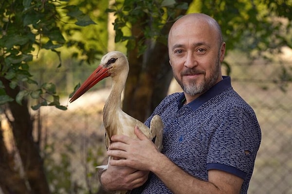 "Я занятой человек. Но когда я не работаю, я посвящаю свое время помощи этим бездомным животным".