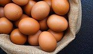 Yumurtaya Gelen Zam Dudak Uçuklattı! Yumurtanın Fiyatı Ne Kadar Oldu? Bir Tane Yumurta Kaç TL?