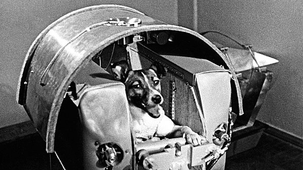 1957'de uzaya giden Sovyet köpeği Laika ve 1961'de Amerikan şempanzesi Ham'ın ardından Fransızlar uzaya bir canlı göndermek istedi.