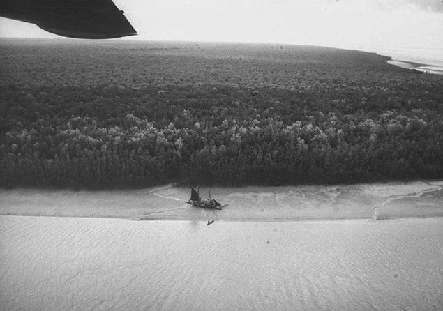 Rockefeller'lar hâlâ Michael'ın ortaya çıkma şansı olduğunu düşünse de adayı terk ettiler. İki hafta sonra Hollandalılar aramayı iptal etti. Michael'ın resmi ölüm nedeni boğulma olarak açıklandı.