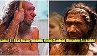 Ekosistemi Değiştiren Yaşamış En Eski İnsan Türünün Homo Sapiens Olmadığı Ortaya Çıktı!