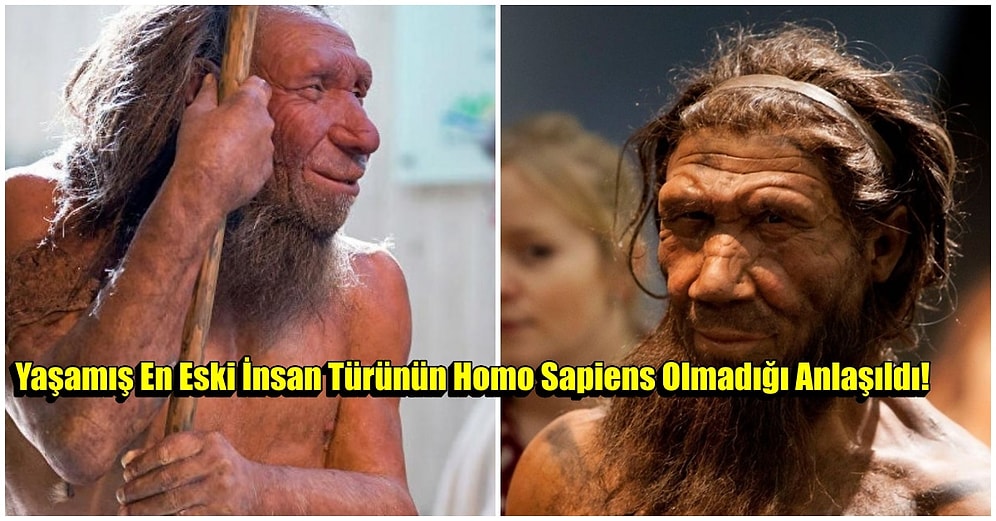 Ekosistemi Değiştiren Yaşamış En Eski İnsan Türünün Homo Sapiens Olmadığı Ortaya Çıktı!