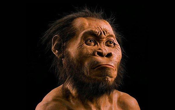 Aslında Neuman-Nord, arkeologlar tarafından ilk kez 1985'te homininlerin yaşadığı bir bölge olarak tanımlamıştı. Bu nedenle Prof. Dr. Roebroek ve ekibi 125 bin yıl önce çevreyi gerçekten Neandertallerin varlığının etkileyip etkilemediğini anlamak için çalışmalara başladı.