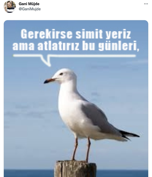 Gani Müjde