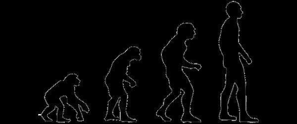 Ancak paleontologlar ve antropologlar, hominin evriminin tarihine baktıklarında, sayısız çıkmazla kendi içine işleyen gerçek bir 'Gordion Düğümü' buluyorlar.