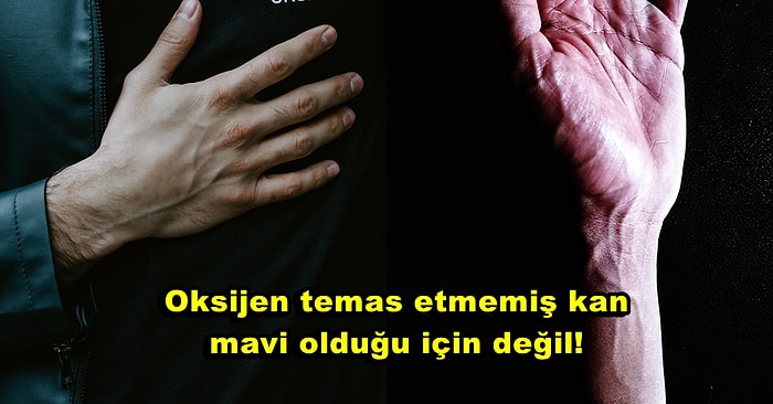 Kan Kırmızı Renk Olduğu Halde Damarlarımızın Niçin Mavi Renk Göründüğünü Anlatıyoruz