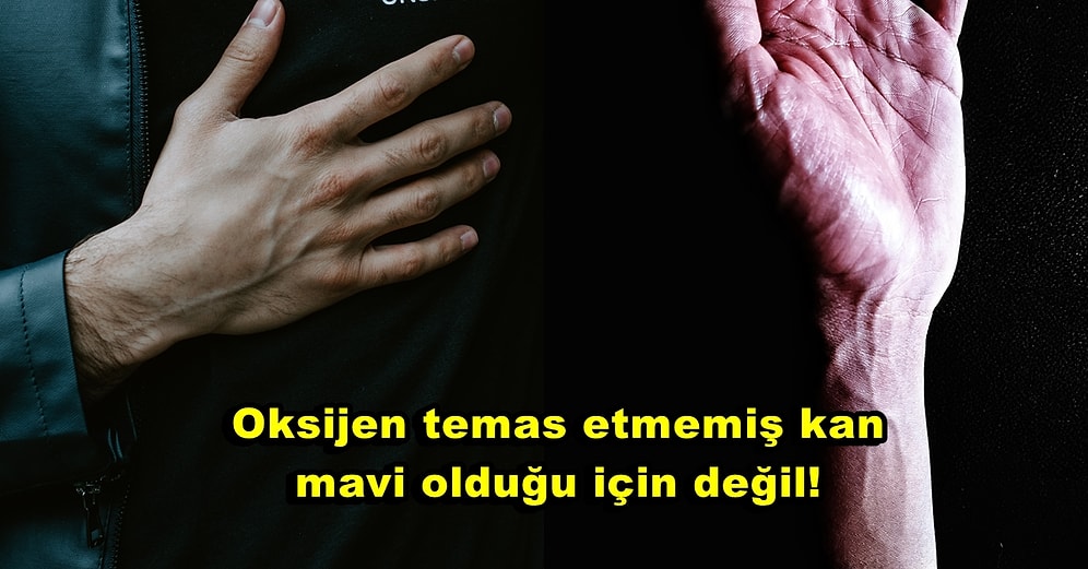 Kan Kırmızı Renk Olduğu Halde Damarlarımızın Niçin Mavi Renk Göründüğünü Anlatıyoruz