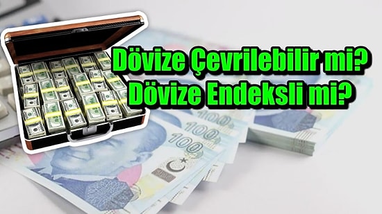 Dolar Düşünce Herkesin Aklına Gelen Soru: Dövize Endeksli Mevduat Nedir?