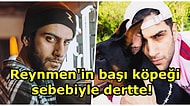 Sosyal Medya Fenomeni Reynmen'in Başı Bu Sefer Köpeği Sebebiyle Dertte! Saldırıya Uğrayan Kurye Şikayetçi Oldu