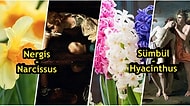 Hem Görüntüleriyle Hem Kokularıyla Büyüleyici Çiçeklerin Mitolojik Hikayelerini Biliyor muydunuz?