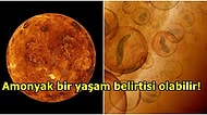 Bilim İnsanlarına Göre Venüs'ün Bulutları Uzaylıların Saklanması İçin Mükemmel Bir Konum Olabilir!