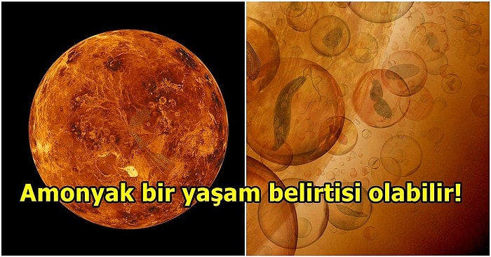 Bilim İnsanlarına Göre Venüs'ün Bulutları Uzaylıların Saklanması İçin Mükemmel Bir Konum Olabilir!