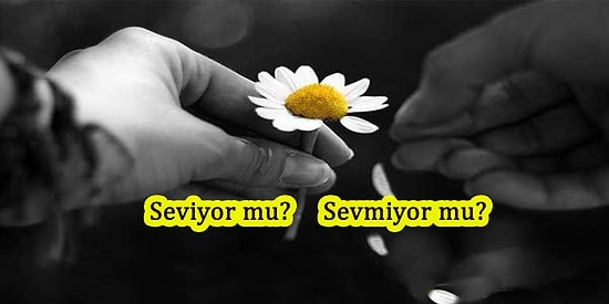 Merakla Beklediğin Test: Seviyor mu? Sevmiyor mu?