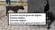 Pitbull Saldırısına Uğrayan ve Ağır Yaralanan 4 Yaşındaki Asiye'nin Ardından Sosyal Medyada Tepkiler Yükseldi