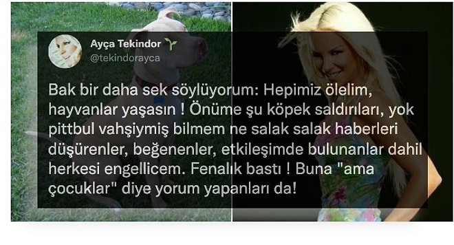 Ayça Tekindor'un Pitbull Saldırısıyla İlgili "Hepimiz Ölelim Hayvanlar Yaşasın" Sözleri Tartışma Yarattı