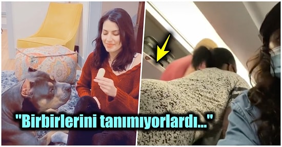 Brezilya Popo Kaldırma Ameliyatından Sonra Üzerine Oturamadıkları İçin Uçağı Birbirine Katan Kadınlar