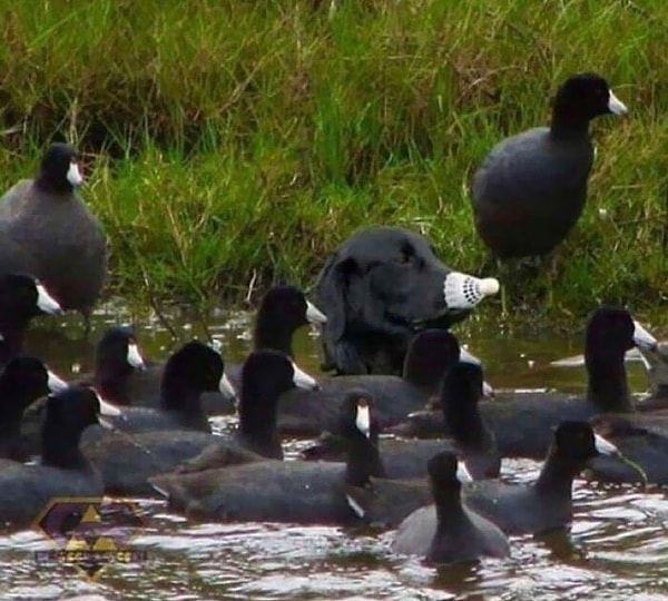 2. День 117, меня все еще не раскрыли