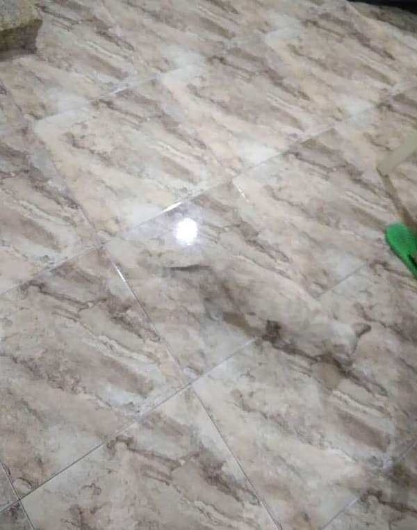 11. Похоже, там на полу что-то есть