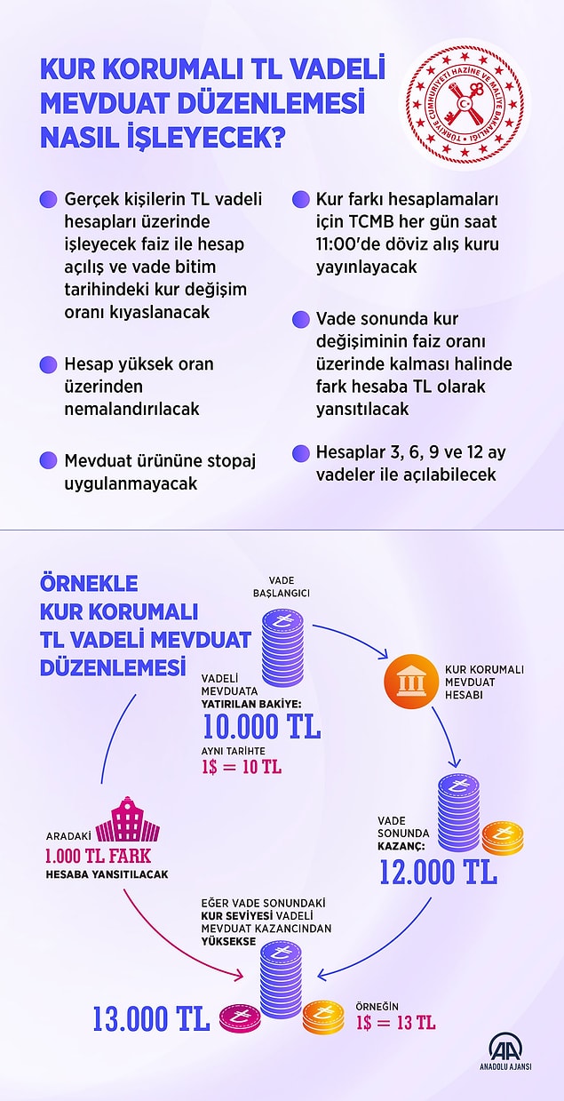 Pek çok ekonomistin sınırsız faiz artışı olarak yorumladığı, hiperenflasyon ve hazineye milyarlarca dolar yük getireceği tahmin edilen bu yeni mevduat sistemiyle ilgili yabancı ekonomistler de görüşlerini bildirdi.