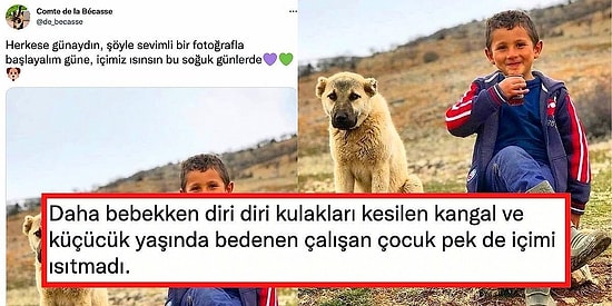 İçimizi Isıtsın Notuyla Paylaşılan Kulağı Kesik Bir Köpek ve Çocuk Fotoğrafı Olay Yarattı