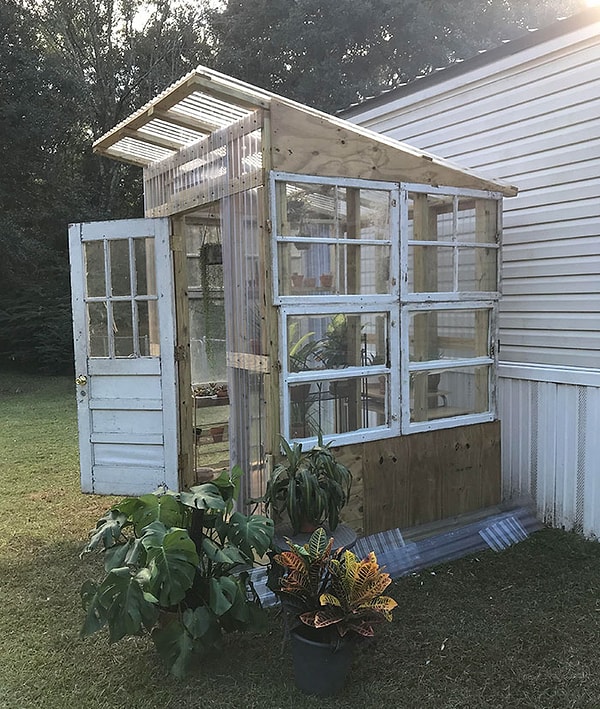 18. Муж построил мне теплицу для моих суккулентных растений. Это необходимость, когда в Мобайл каждый день идут муссоны, Алабама