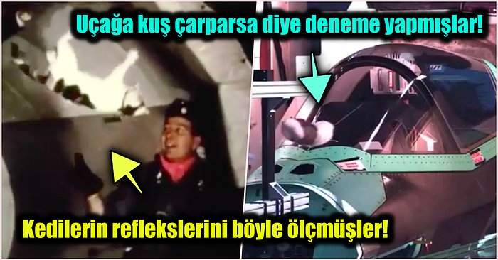 Tüm Bildiklerinizi Unutup Hayata Bambaşka Bir Pencereden Bakmanızı Sağlayacak Birbirinden Enteresan Deneyler