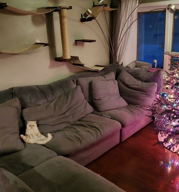 16. Хорошо жить не запретишь