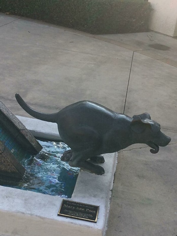 10. Эта собачка должна была бежать. Вышло немного не очень