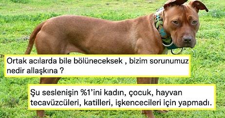 Cumhurbaşkanı Erdoğan'ın 'Beyaz Türkler, Hayvanlarınıza Sahip Çıkın' Açıklamasına Tepkiler Büyüyor!