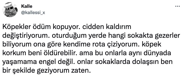 5. Sanki bir anda canlılar arası bir hiyerarşi oluşturuldu ve insanlar dışında hiçbir canlının yaşamının bir önemi kalmadı...