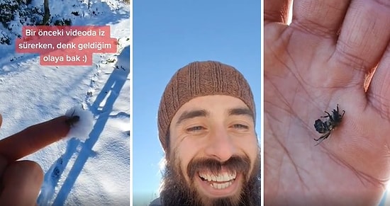 Soğuktan Bayılmış Bir Şekilde Karın Üzerinde Bulduğu Arıyı Hayata Döndüren Güzel İnsan