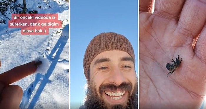 Soğuktan Bayılmış Bir Şekilde Karın Üzerinde Bulduğu Arıyı Hayata Döndüren Güzel İnsan