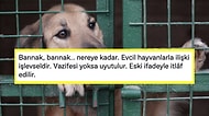 Evcil Hayvanların İtlaf Edilebileceğini Söyleyen İHH Konya İl Başkanının "Merhametsizliği" Tepki Çekti