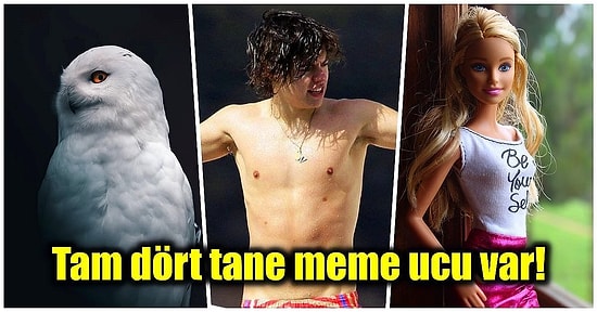 Öğrendiğiniz Anda Hayatınıza Bambaşka Biri Olarak Devam Edeceğinizi Birbirinden İlginç Bilgiler