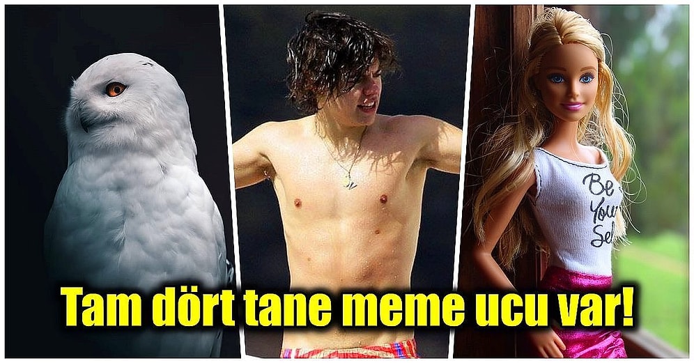 Öğrendiğiniz Anda Hayatınıza Bambaşka Biri Olarak Devam Edeceğinizi Birbirinden İlginç Bilgiler