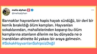 Ölüm Kampı! Erdoğan'ın Barınak Açıklamasının Ardından Hayvanseverler Twitter'da İsyan Etti