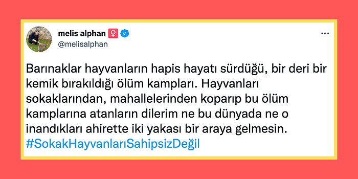 Ölüm Kampı! Erdoğan'ın Barınak Açıklamasının Ardından Hayvanseverler Twitter'da İsyan Etti