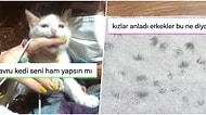 Sergide Sürpriz Evlilik Teklifinden Artan Öğrenci Akbili Fiyatlarına Son 24 Saatin Viral Tweetleri