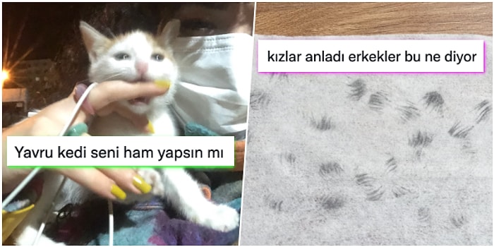 Sergide Sürpriz Evlilik Teklifinden Artan Öğrenci Akbili Fiyatlarına Son 24 Saatin Viral Tweetleri