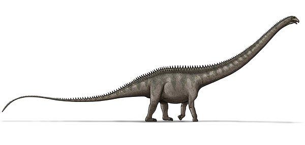 3. Supersaurus’un bilinen uzun dinozor olduğu açıklandı.