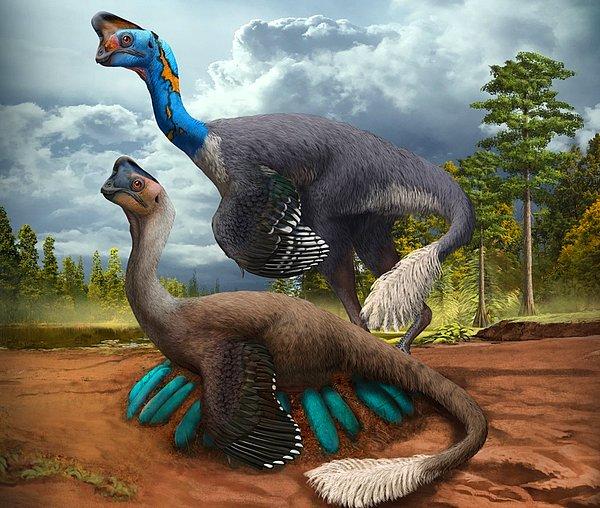 5. Yumurtalarının üzerinde otururken ölen bir dinozor bulundu.